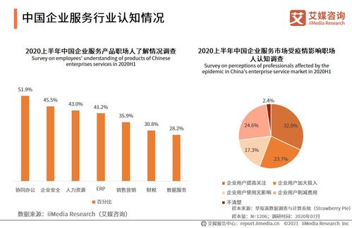 艾媒咨詢2021上半年中國企業(yè)服務(wù)專題研究報告 信息咨詢服務(wù)