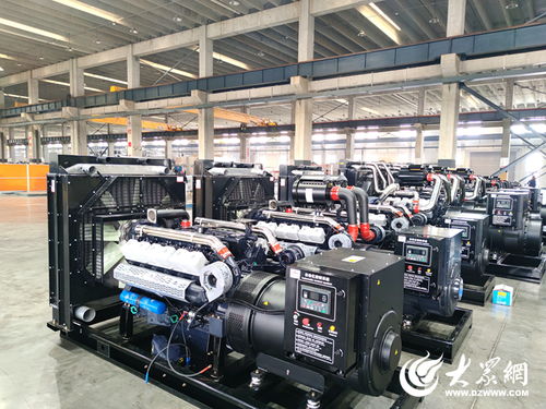 府東街點(diǎn)題，菏澤交出重點(diǎn)項(xiàng)目突破答案——生物質(zhì)成型燃料銷售領(lǐng)航綠色發(fā)展